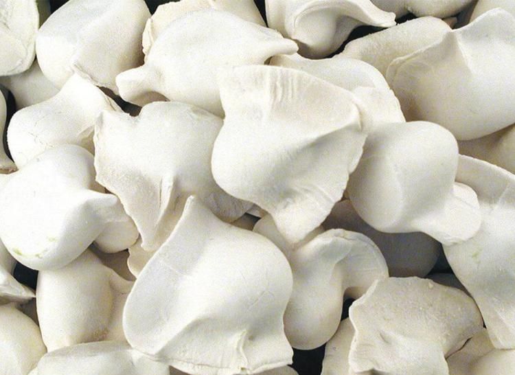 為什么選擇低溫速凍冷庫貯藏水餃、湯圓