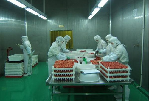 生鮮冷庫(kù)車(chē)間