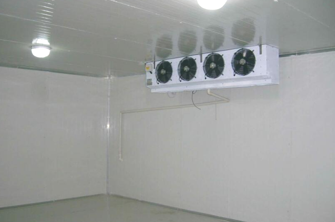 建造一個果蔬保鮮冷庫需要多少錢？