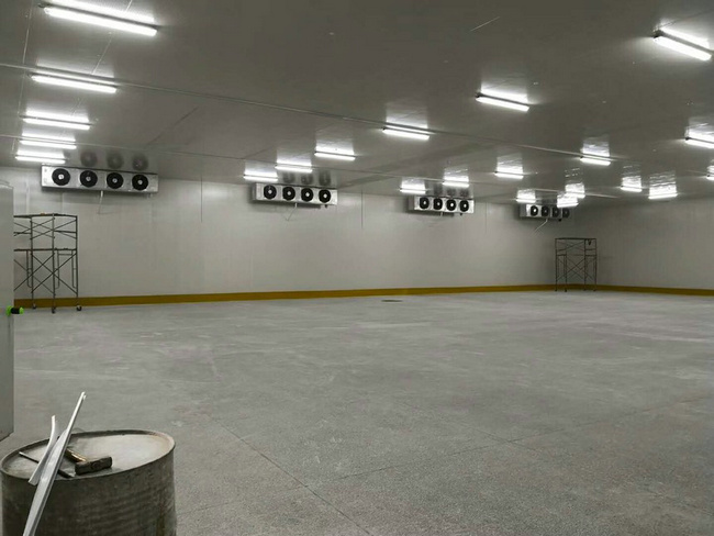 建造100平方冷凍庫需要多少錢？